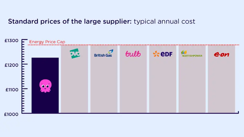 UK Energy Price Cap Chart. Bar chart comparing the standard annual cost of large energy suppliers (Octopus, OVO, British Gas, Bulb, EDF, ScottishPower, and E.ON) against the Energy Price Cap of approximately £1,290.